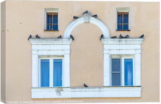 Facade with pigeons Canvas Print by Alexander Usenko