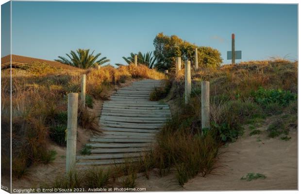 Matapouri Bay Beach Access Stairs Canvas Print by Errol D'Souza