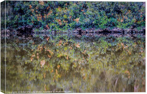Berowra Creek Reflections Canvas Print by Errol D'Souza