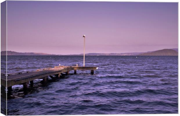 Lake Rotorua Pier at Parawai Bay Canvas Print by Errol D'Souza