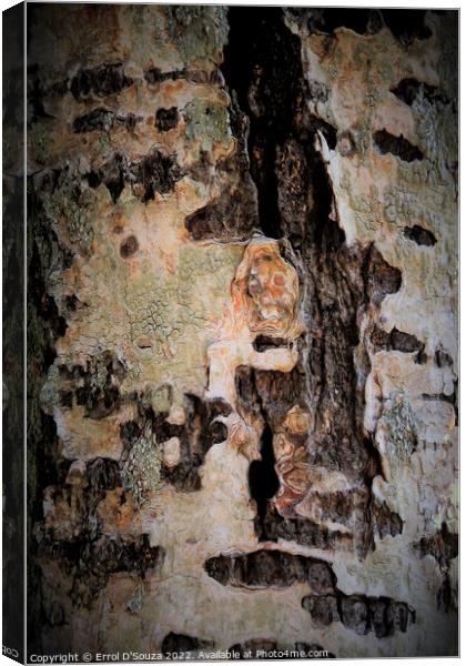 Abstract Lichen and Tree Bark Design Canvas Print by Errol D'Souza