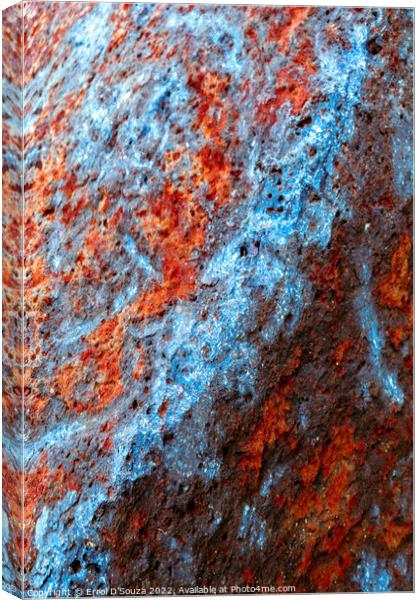 Sky Blue and Rusty Red Canvas Print by Errol D'Souza