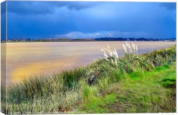 Wairoa River Canvas Print by Errol D'Souza