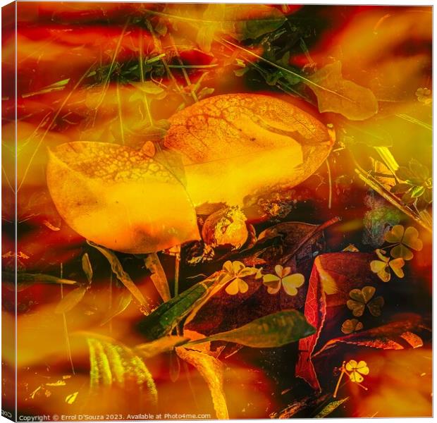 Orange and yellow succulent abstract Canvas Print by Errol D'Souza