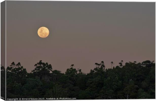 Moonrise over Matapouri Bay Canvas Print by Errol D'Souza