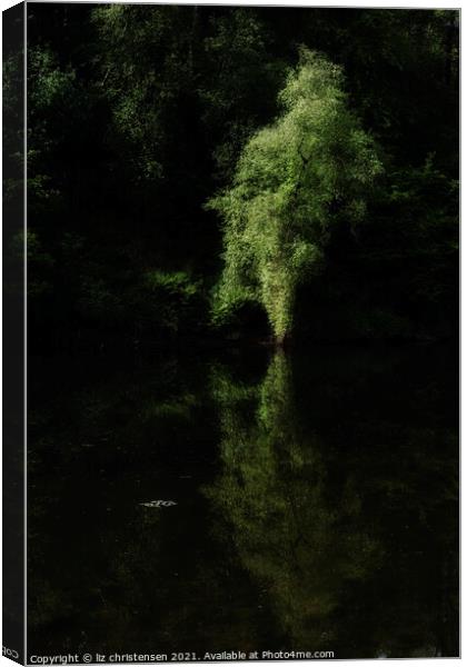 The Ethereal Tree Canvas Print by liz christensen