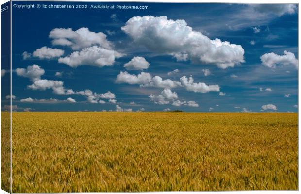 Rheinland-Pfalz Wheat Field Canvas Print by liz christensen