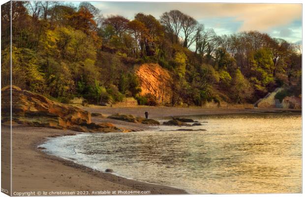 Ravenscraig Beach Canvas Print by liz christensen