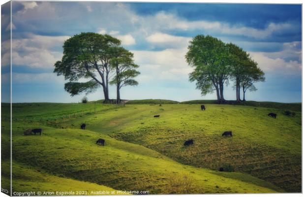 Cows on a lush green Roundway Hill Canvas Print by Arion Espinola