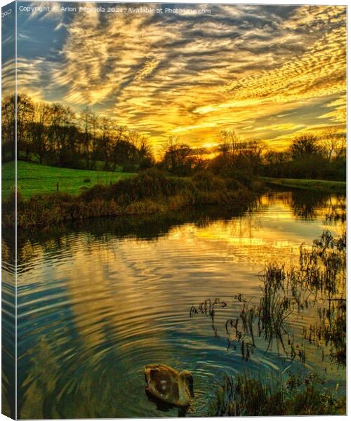 Sunset at Lacock Canvas Print by Arion Espinola