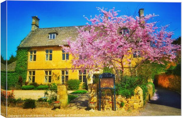 Countryside English house  Canvas Print by Arion Espinola