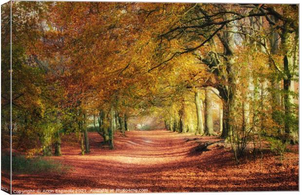 Wonderful English autumn  Canvas Print by Arion Espinola