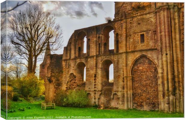 The ancient Abbey Canvas Print by Arion Espinola