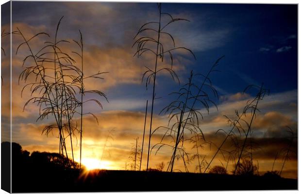 A Frosty Sunrise On Danby Moor, North Yorkshire Canvas Print by BARBARA RAW