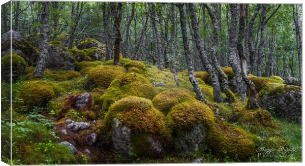 Green Forest with Moss and Trees. Canvas Print by Maggie Bajada
