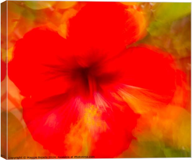 Red Hibiscus flower, Movement of Camera (ICM) Canvas Print by Maggie Bajada