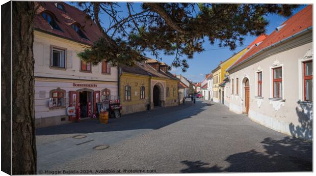 Colorful streets of Eger Town in Hungary. Canvas Print by Maggie Bajada