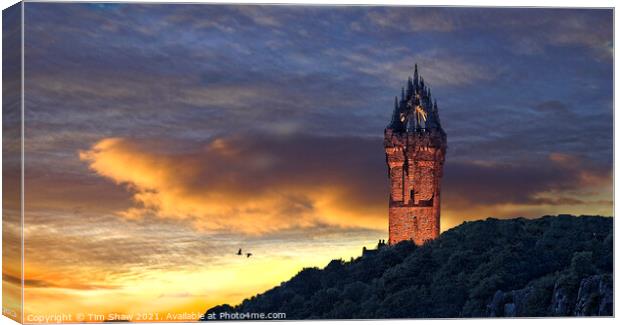 Wallace Monument Stirling Canvas Print by Tim Shaw