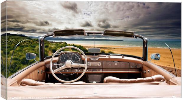Beach from open top car Canvas Print by Tim Shaw