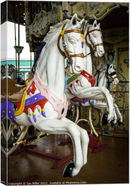 Carousel Horse at Blackpool, UK Canvas Print by Ian Miller