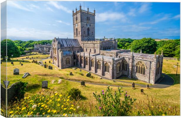 St Davids Cathedral  Canvas Print by Brett Gasser