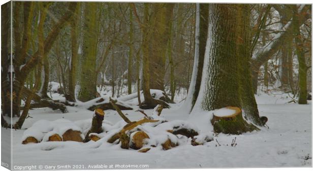 Snow in the Woods Canvas Print by GJS Photography Artist