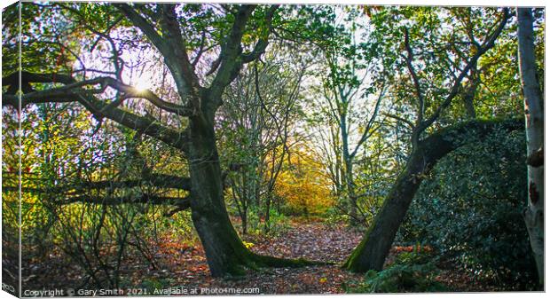 Twisting Trees Canvas Print by GJS Photography Artist