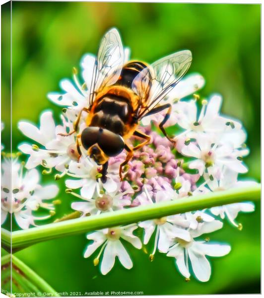 Honey Bee in Detail Canvas Print by GJS Photography Artist