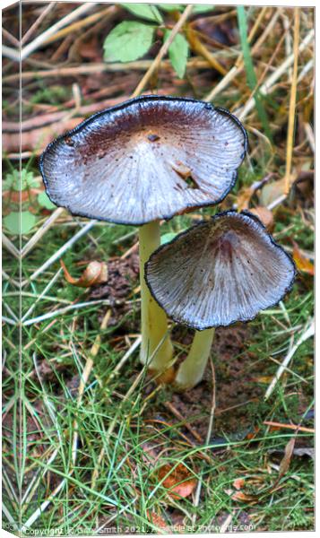 Pleated Ink Cap  Canvas Print by GJS Photography Artist