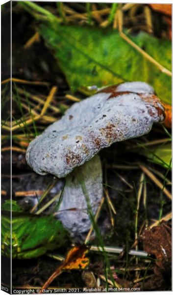 Dead Fungi  Canvas Print by GJS Photography Artist
