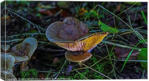 Milkcap Ribs Glowing Canvas Print by GJS Photography Artist