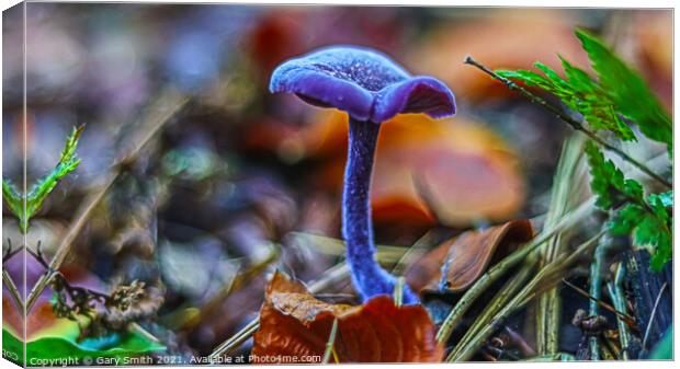 Amethyst Deceiver  Canvas Print by GJS Photography Artist