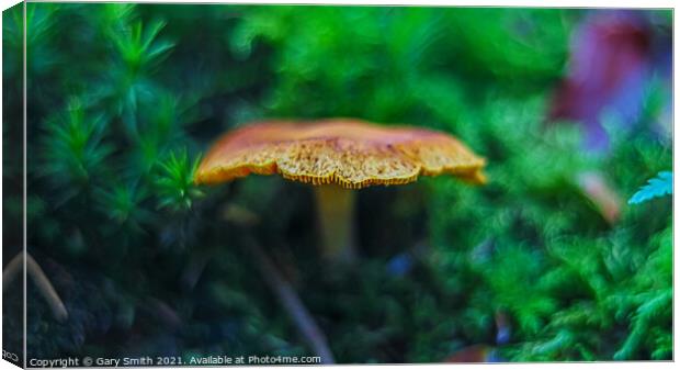 Orange Grisette Mushroom Canvas Print by GJS Photography Artist