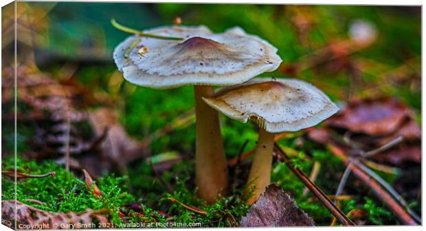 An insect taking a breather Photobomb Canvas Print by GJS Photography Artist