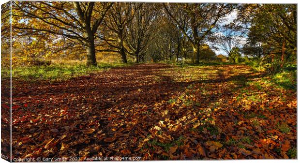 Queen Mother's Avenue Dereham Canvas Print by GJS Photography Artist