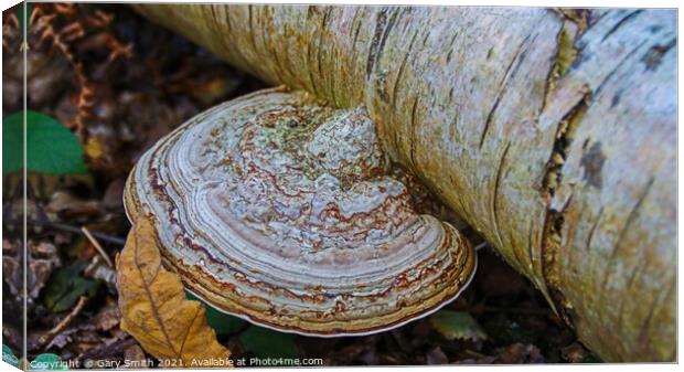 Natures Marble Canvas Print by GJS Photography Artist