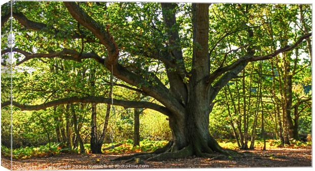 Old Oak with Swing Canvas Print by GJS Photography Artist