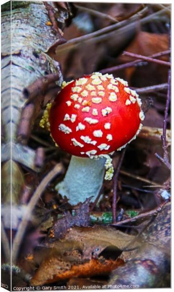 Fly Agaric (Alice in Wonderland) Canvas Print by GJS Photography Artist