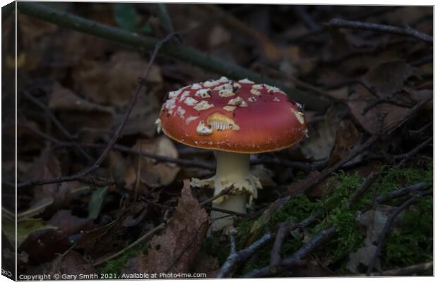 Fly Agaric (Alice in Wonderland) Dark Canvas Print by GJS Photography Artist
