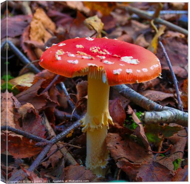 Fly Agaric (Alice in Wonderland) in HDR Canvas Print by GJS Photography Artist