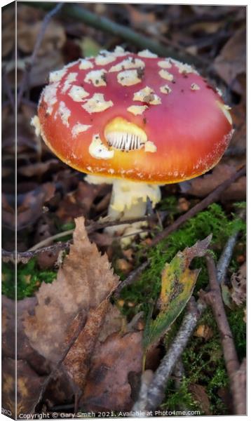 Fly Agaric (Alice in Wonderland) Holy Canvas Print by GJS Photography Artist
