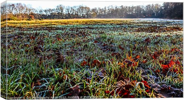 Close to the Frosty Grasses Canvas Print by GJS Photography Artist
