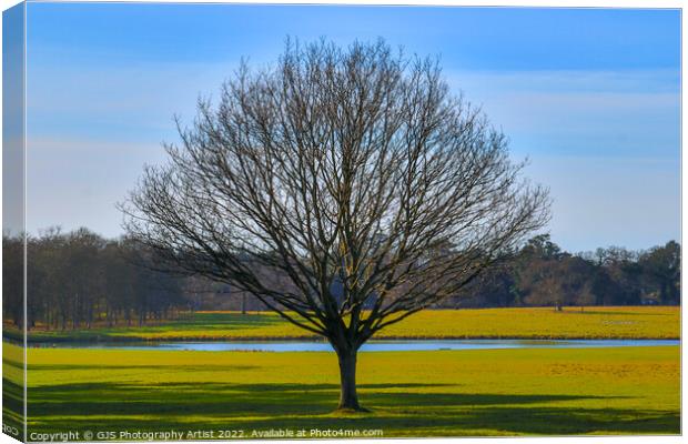 A Lonely Tree Canvas Print by GJS Photography Artist