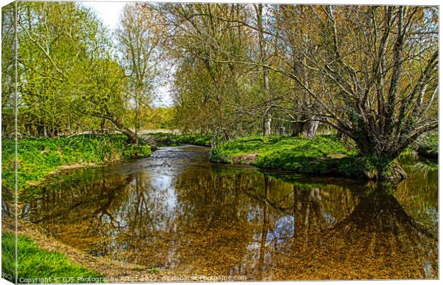 Tree Shaddows in the River Canvas Print by GJS Photography Artist