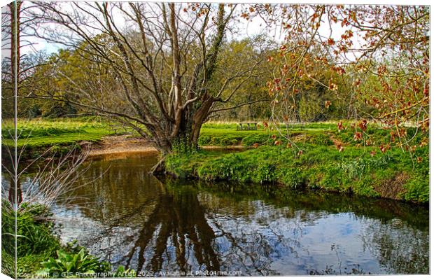 Perfect PicAnic Location Canvas Print by GJS Photography Artist