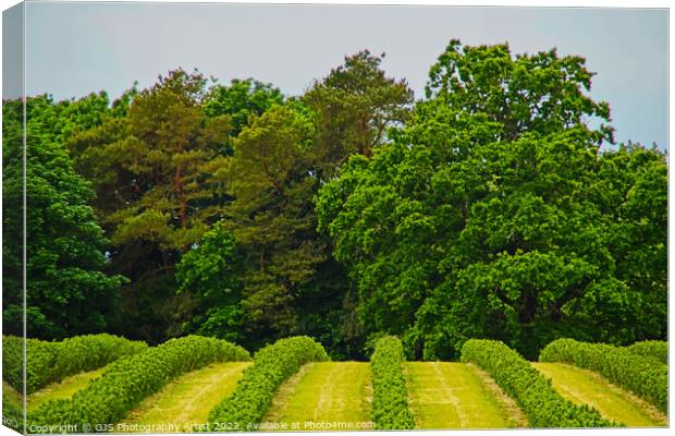 Over the Hill Canvas Print by GJS Photography Artist