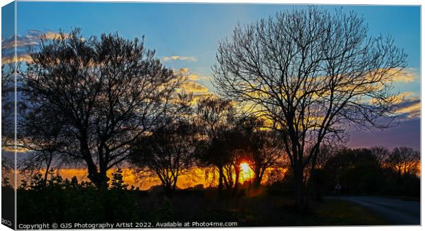 Sun Sets Through Trees Canvas Print by GJS Photography Artist