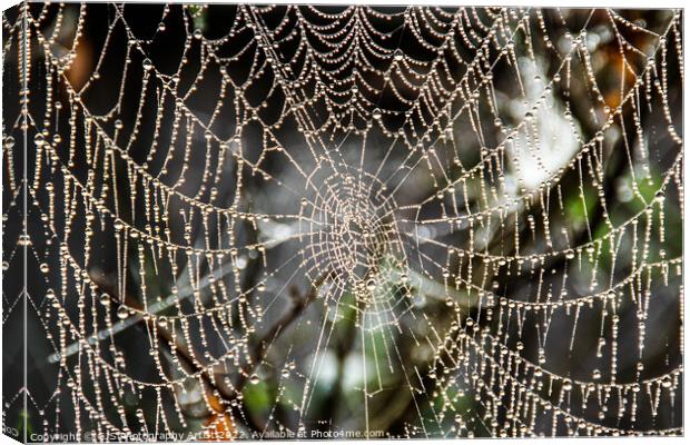 Web Beads Canvas Print by GJS Photography Artist