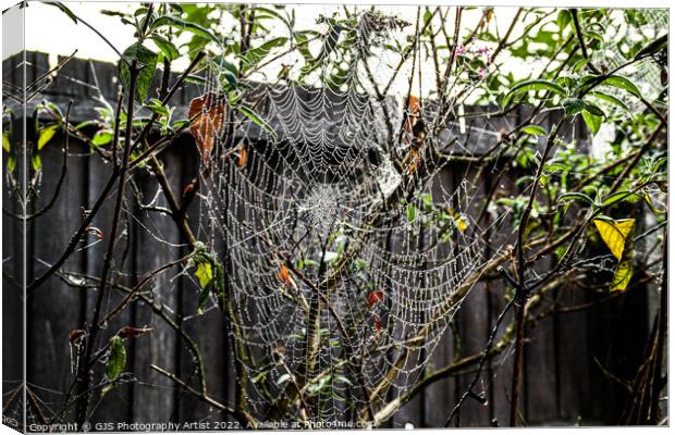 Web Weave Shape Canvas Print by GJS Photography Artist