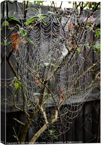 How Big Is The Spider Canvas Print by GJS Photography Artist